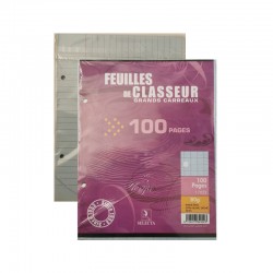 FEUILLES DE CLASSEUR 100 PAGES
